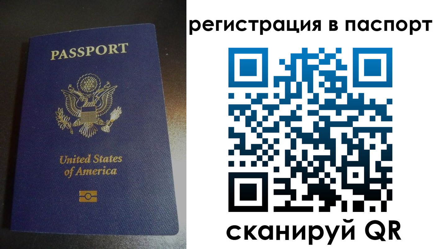 прописка для школы в Светлограде